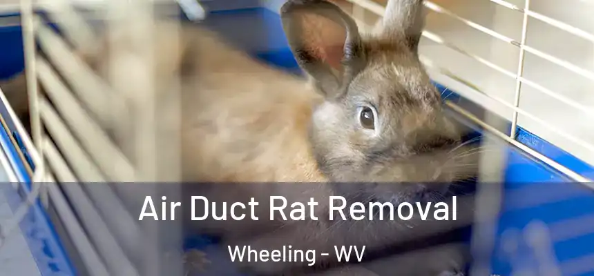  Air Duct Rat Removal Wheeling - WV