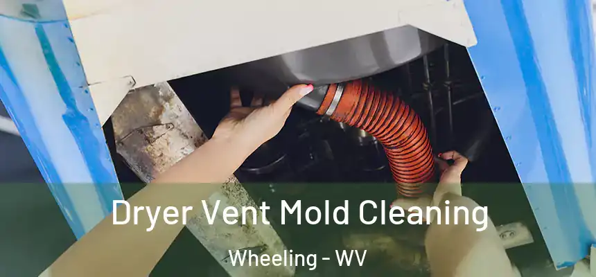  Dryer Vent Mold Cleaning Wheeling - WV