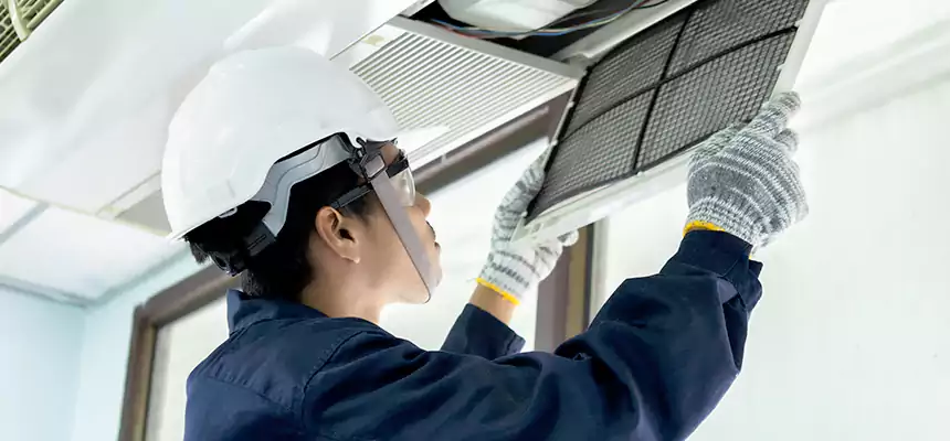 Our Mold & Mildew Removal from Air Ducts Services in Wheeling, WV