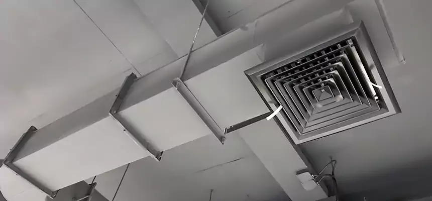 Our Pest Removal From Ducts Services in Wheeling, WV