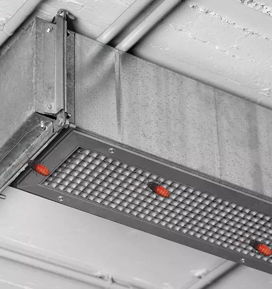 About Air Duct Cockroach Removal in Wheeling, WV
