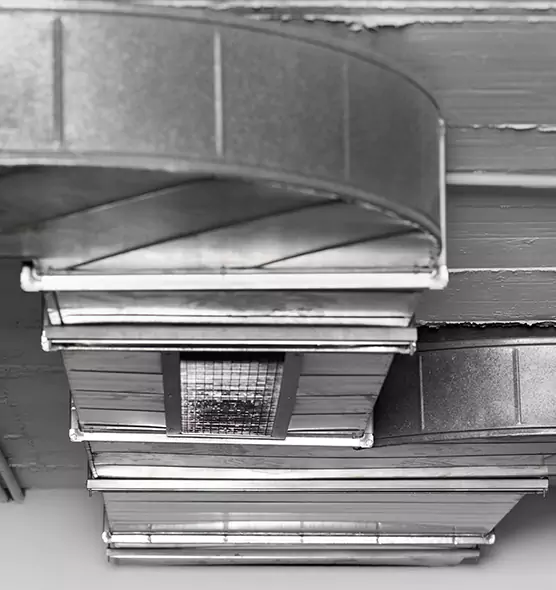 Professional Air Duct Pet Hair Removal in Wheeling, WV