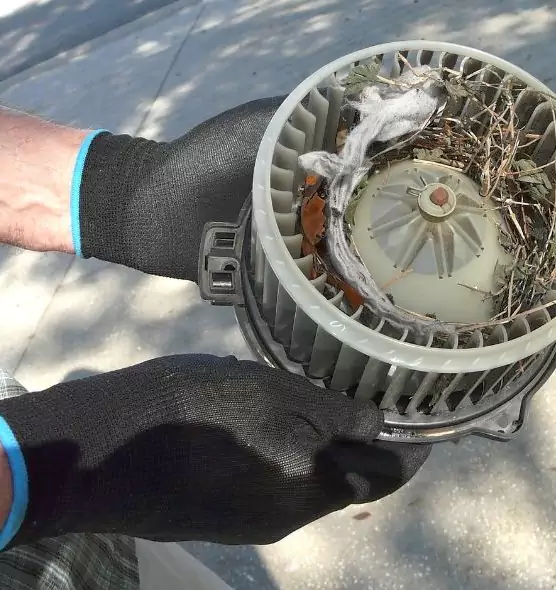 About Air Duct Rat Removal in Wheeling, WV