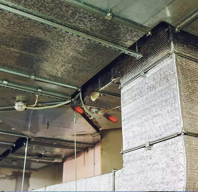 Why Homeowners & Businesses Trust Us in Wheeling, WV?