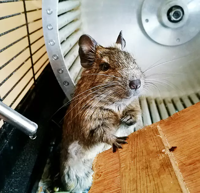 Why Homeowners & Businesses Trust Us Wheeling, WV?