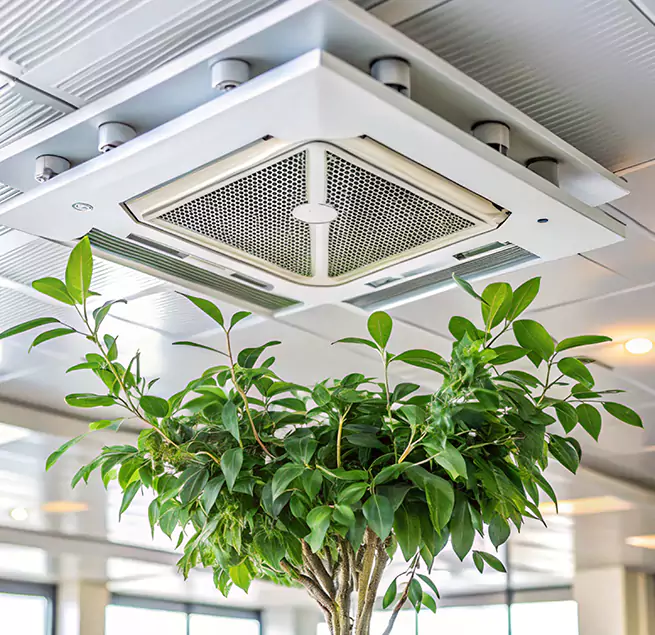 Why Homeowners & Businesses Trust Us in Wheeling, WV?